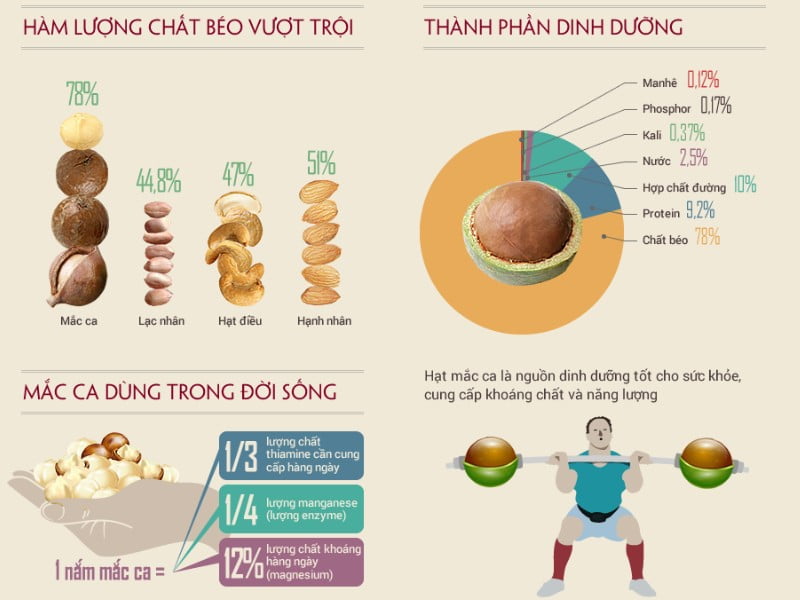 thanh phan dinh duong hat macca