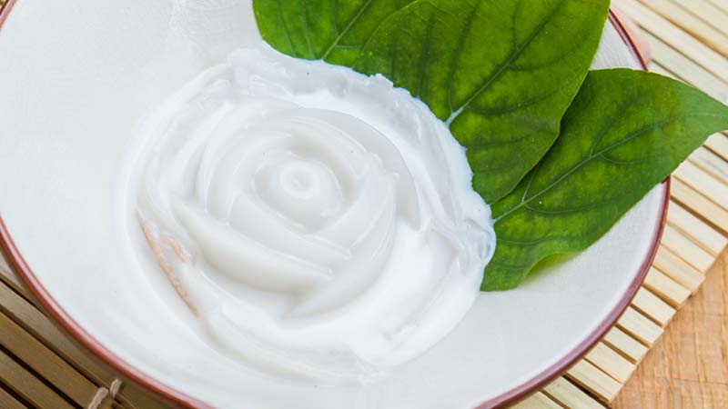Rau câu dừa